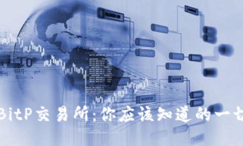 BitP交易所：你应该知道的一切