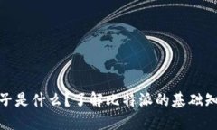 : 比特派种子是什么？了解