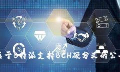 关于B特派支持BCH硬分叉的
