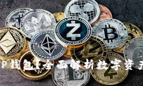 什么是BitP钱包？全面解析数字资产管理工具